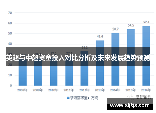 英超与中超资金投入对比分析及未来发展趋势预测