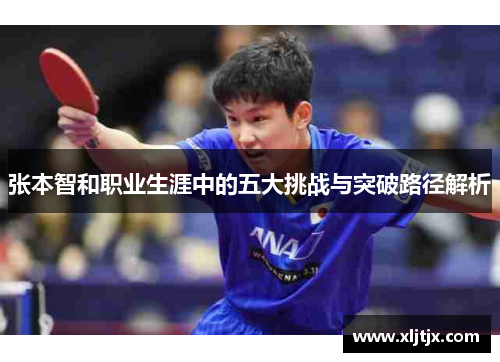 张本智和职业生涯中的五大挑战与突破路径解析